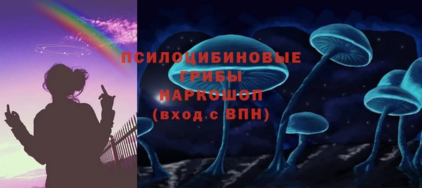 PSILOCYBIN Волоколамск