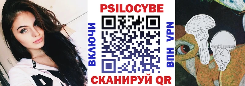 Галлюциногенные грибы Psilocybe  Нахабино 